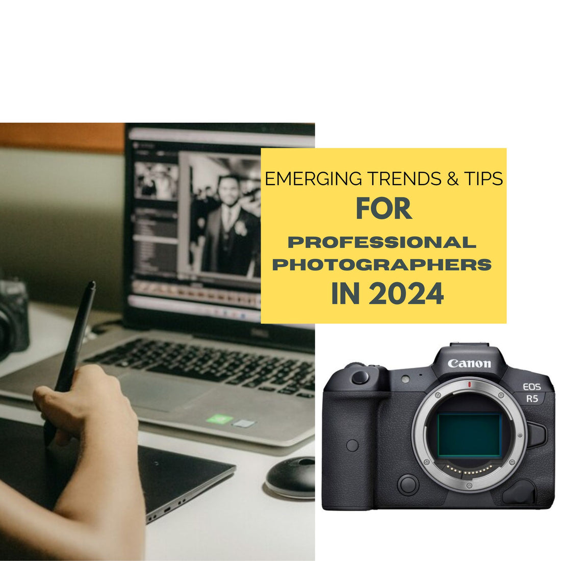 Emerging Trends and Tips for Professional Photographers in 2024