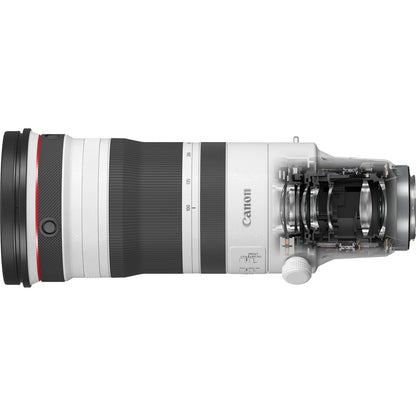 Canon RF 100-300 mm f/2.8L IS USM